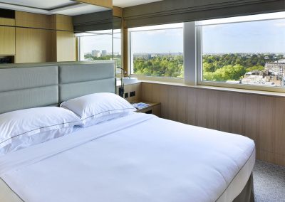 Luxury Suite with a view London's skyline