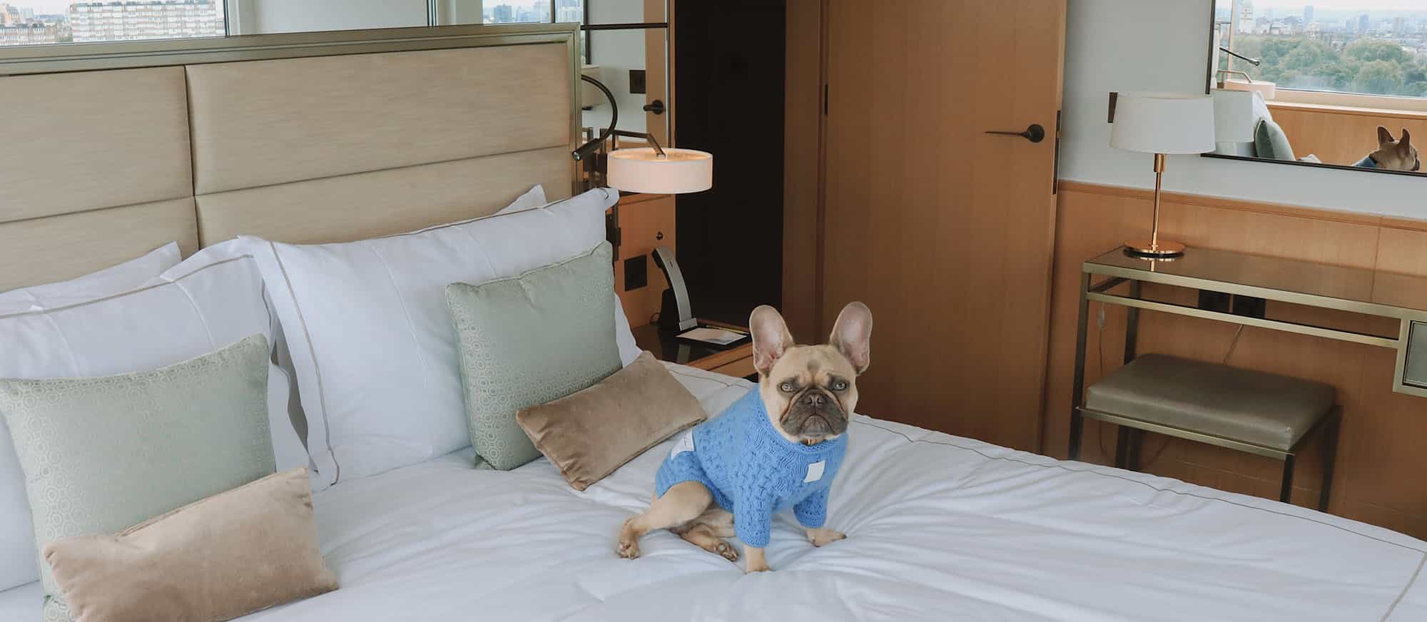 Dog Friendly Hotel, Cats and other Pets Allowed Royal Lancaster London